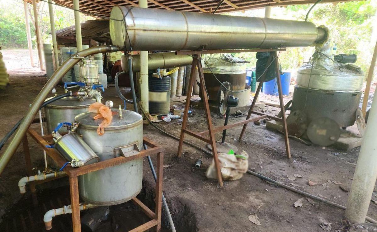 Decomisan casi cinco toneladas de droga en Chiapas, Tijuana y Guerrero