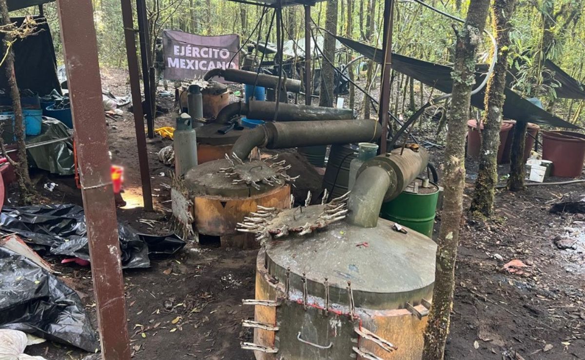 Aseguran narcolaboratorio en Michoacán; crimen organizado perdió mil 200 mdp
