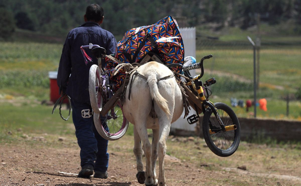 México redujo la pobreza pero aumentan carencias sociales, denuncia ONG