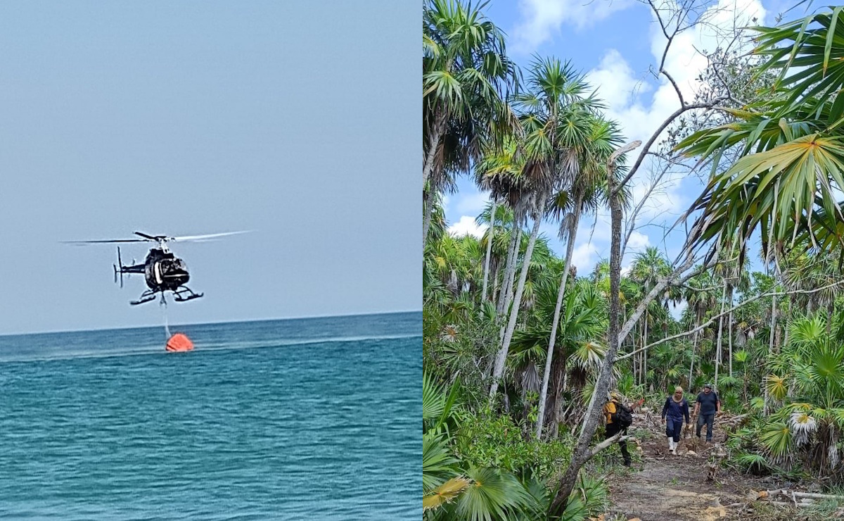 Realizan labores para mitigar incendio en Holbox, Quintana Roo Realizan labores para mitigar incendio en Holbox, Quintana Roo