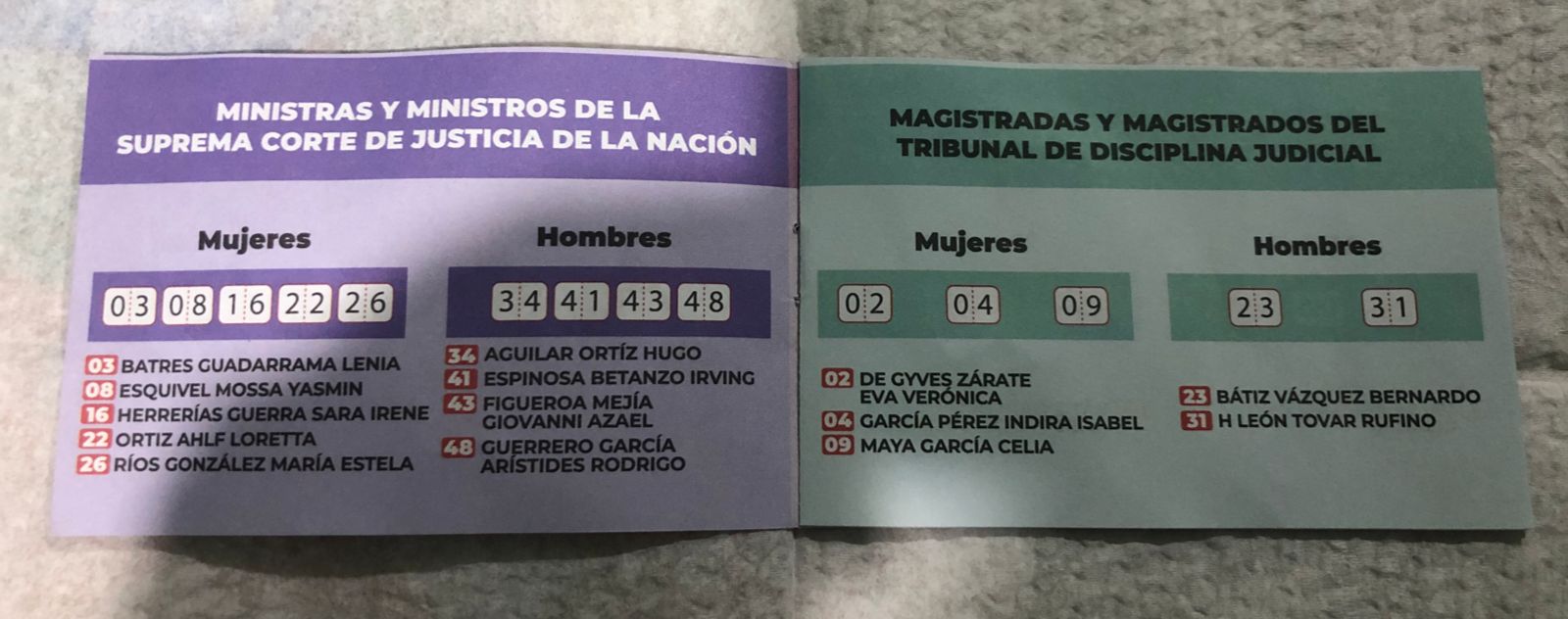 TEPJF valida la elección de la SCJN, pese a acordeones