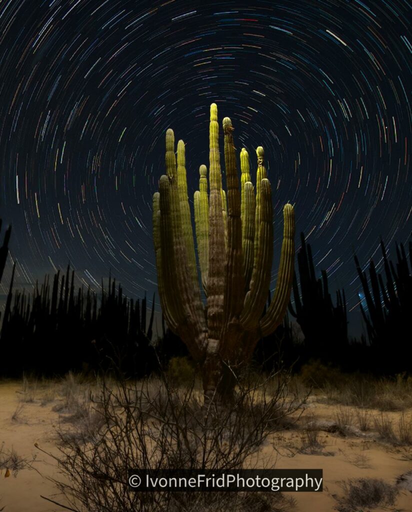 Los volcanes dormidos de Sonora, un paraíso fotográfico con formaciones rocosas utilizadas por la NASA - whatsapp-image-2025-08-23-at-10348-pm-824x1024