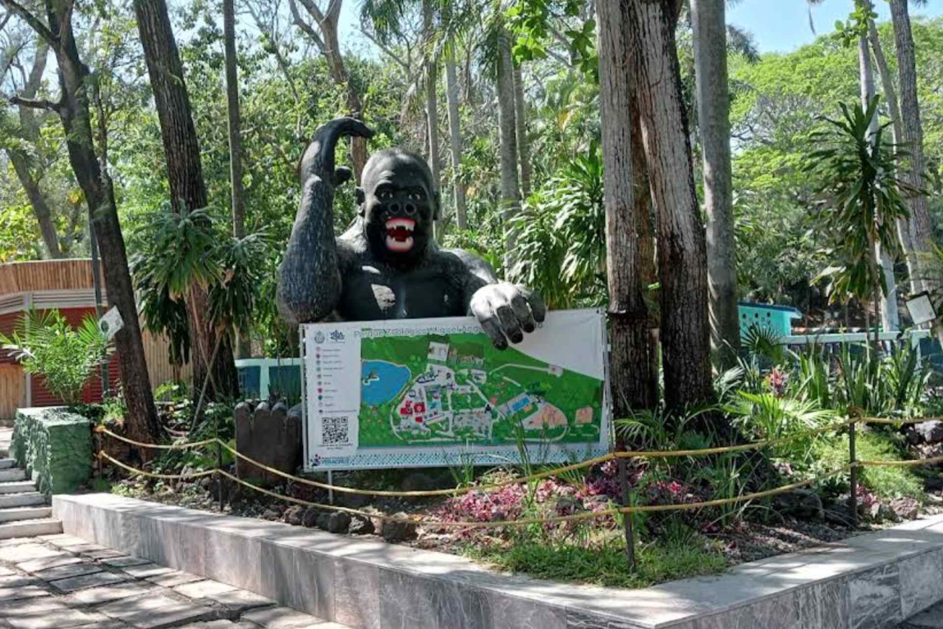 Investigan presunto robo de cocodrilo en zoológico de Veracruz