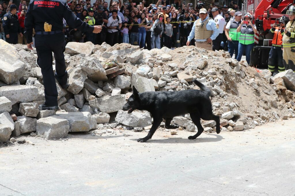 México realiza simulacro 40 años después de trágico terremoto con alertas en los celulares - 31a83b21e2dcb1f13991f8a9a181247cd86f2400w-1024x683