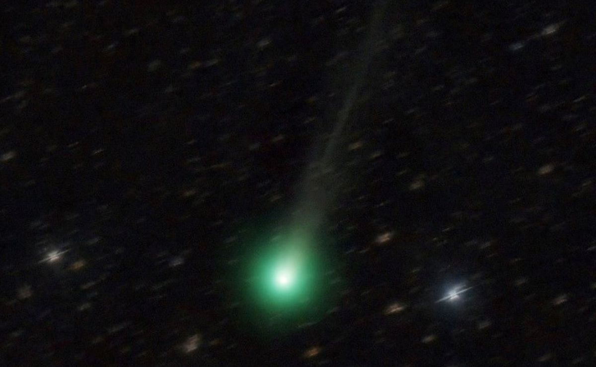 Cometa Lemmon podrá ser visto a simple vista, ¿cuándo?