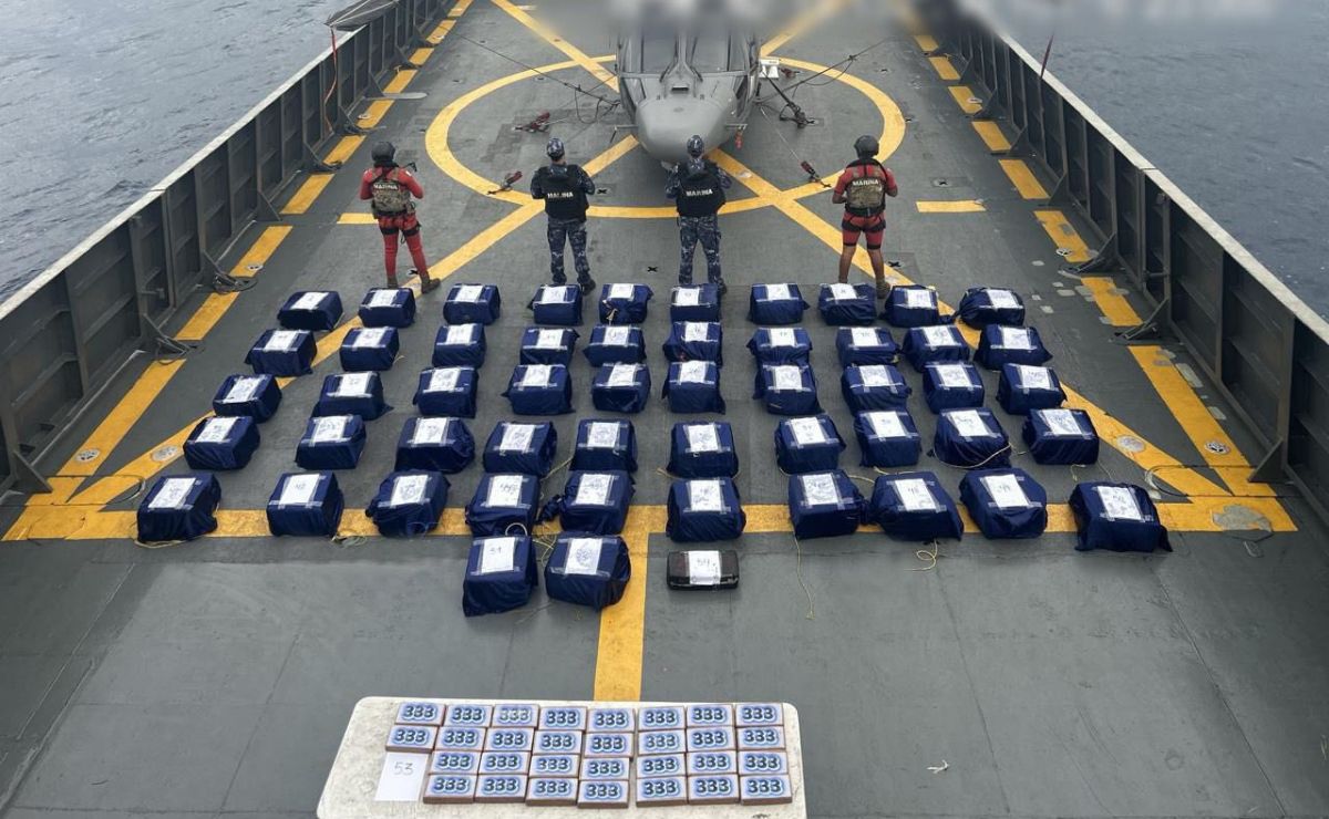 Nuevo decomiso histórico: aseguran 1.6 toneladas de cocaína en Guerrero