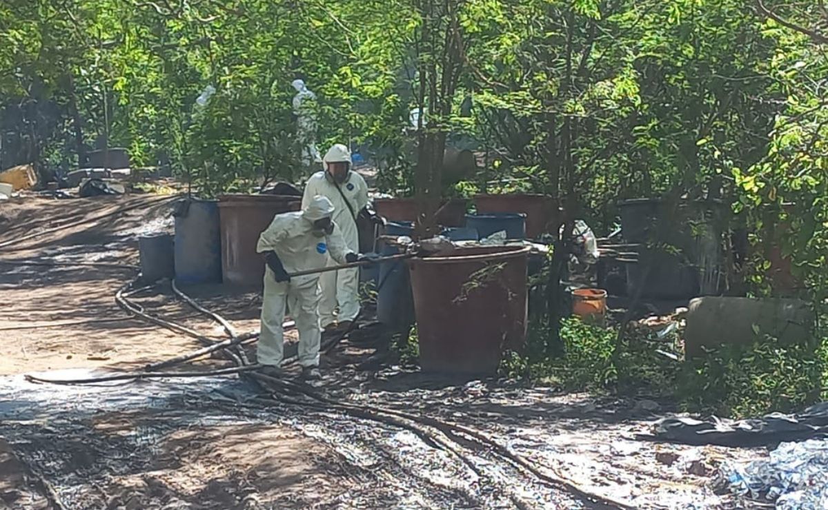 Desmantelan laboratorios clandestinos y aseguran 21 toneladas de metanfetamina en Durango