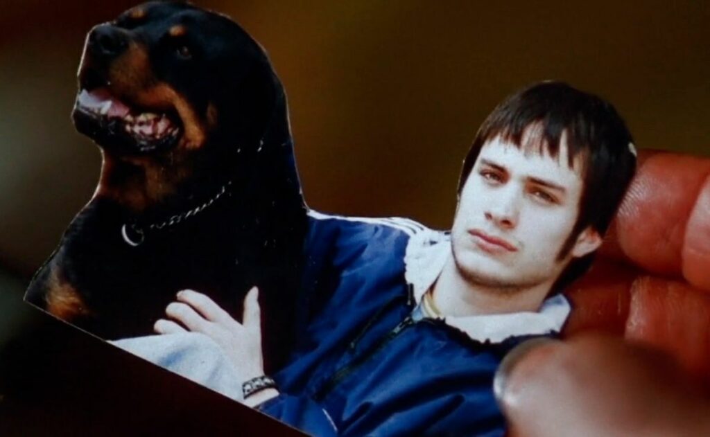 ‘Amores Perros’ saltará a la pantalla chica con serie producida por Sofía Vergara