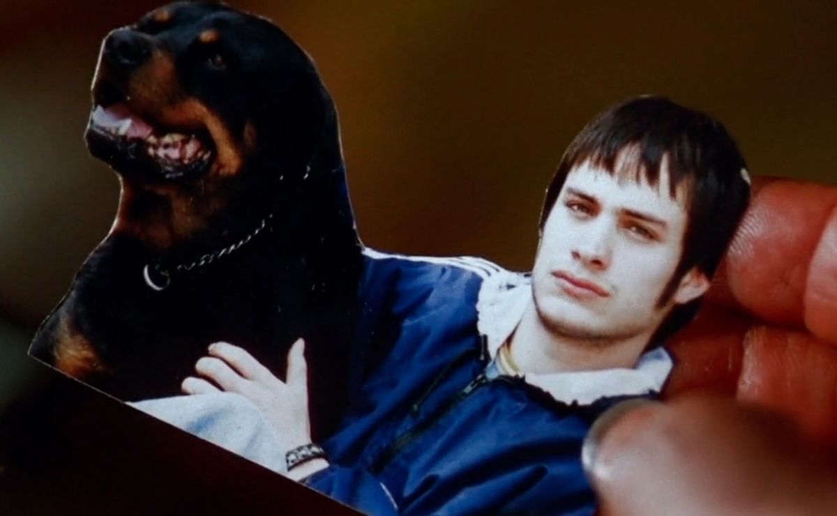 Proyectarán ‘Amores Perros’ en Bellas Artes: ¿cuándo y a qué hora? Proyectarán ‘Amores Perros’ en Bellas Artes: ¿cuándo y a qué hora?