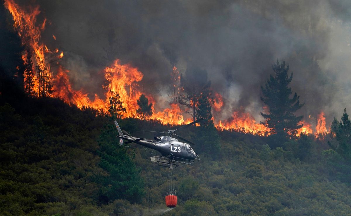 Desastres por incendios forestales aumentan en frecuencia y costo a nivel mundial - incendio-forestal-en-espana