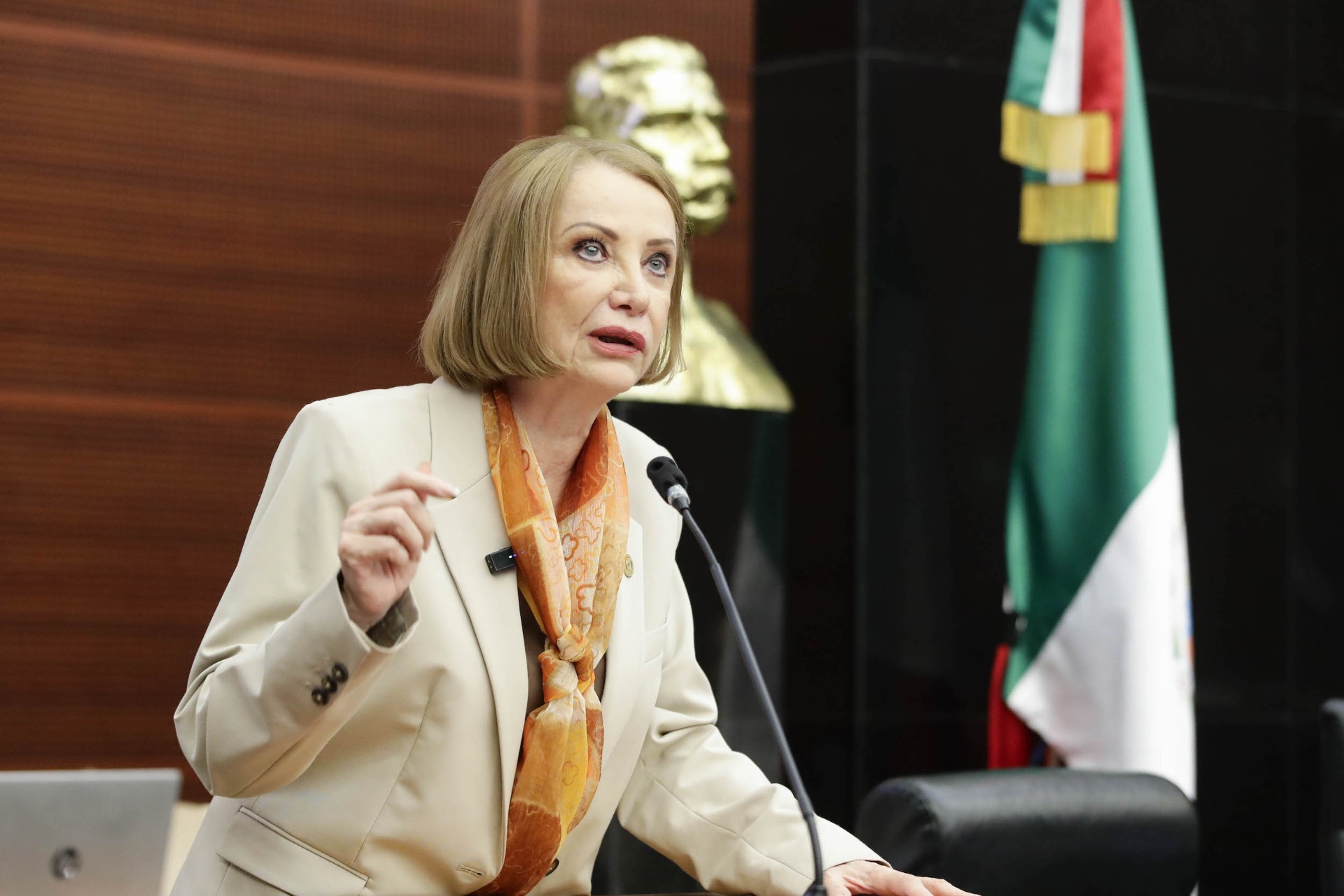 Me conduciré con institucionalidad como presidenta del Senado, hay que elevar nivel del debate: Laura Itzel Castillo