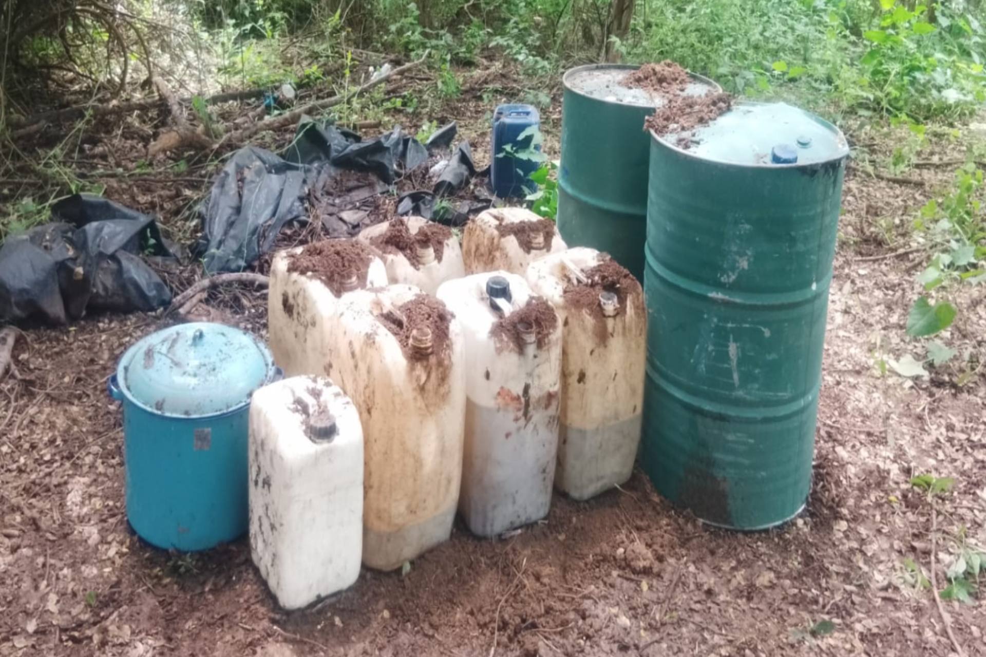 Operación Frontera Norte: 6 mil 940 detenidos y más de 5 mil armas aseguradas