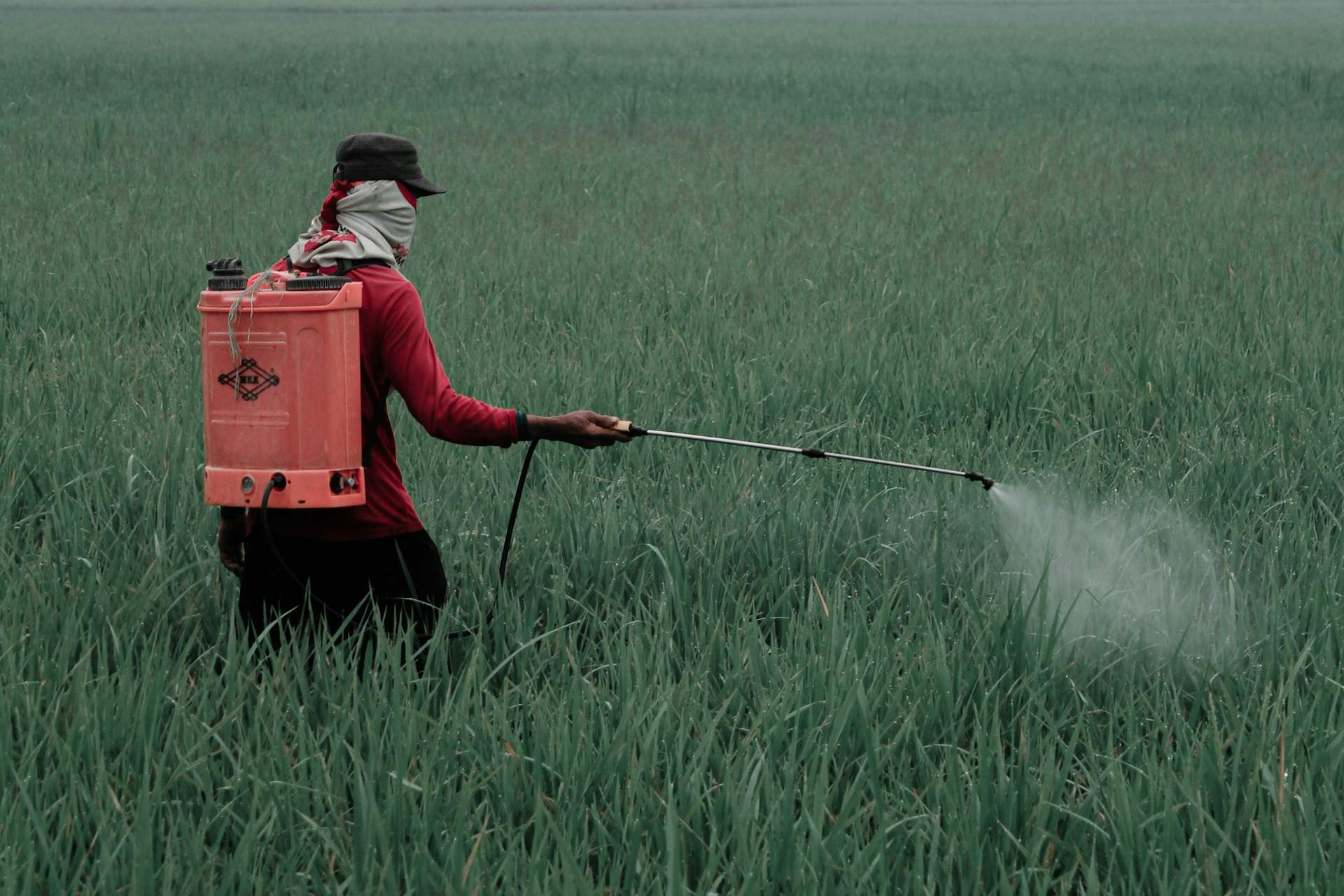 Gobierno de México prohíbe 35 plaguicidas peligrosos