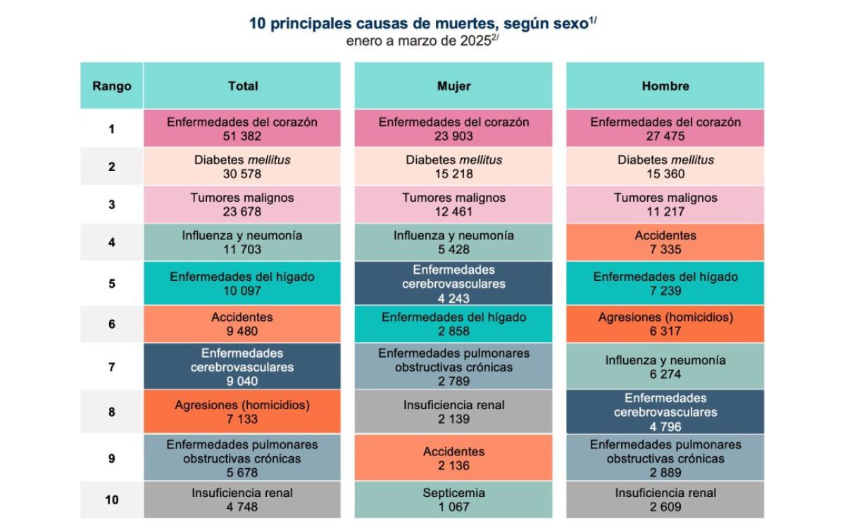 Muertes en México descendieron en primer trimestre de 2025; estas fueron las principales causas - principales-causas-de-muerte-en-mexico-durante-el-primer-trimestre-de-2025