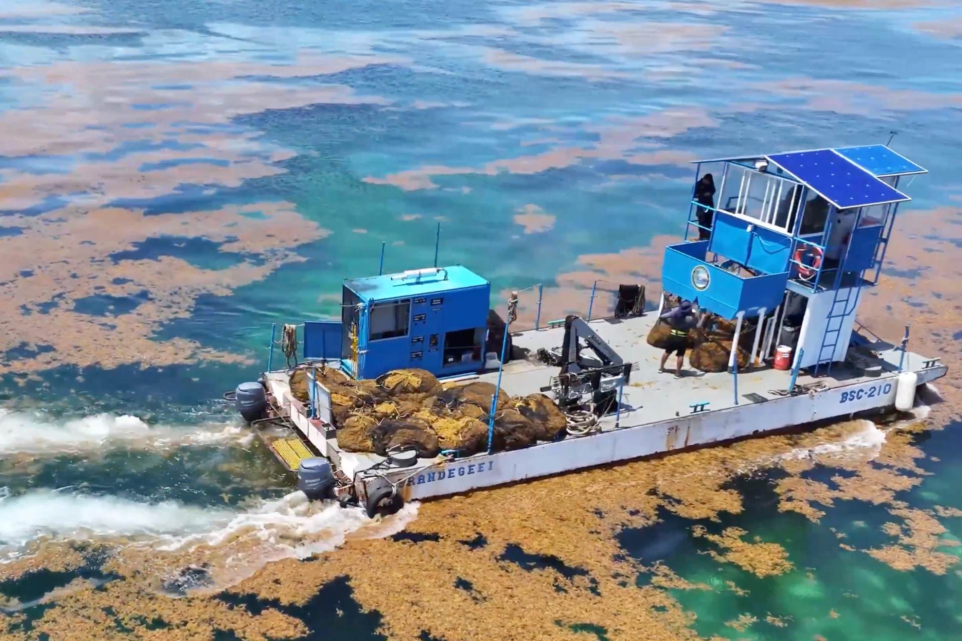 Estrategia de Atención al Sargazo en Quintana Roo: ¿Cuántas toneladas se han recolectado en 2025?