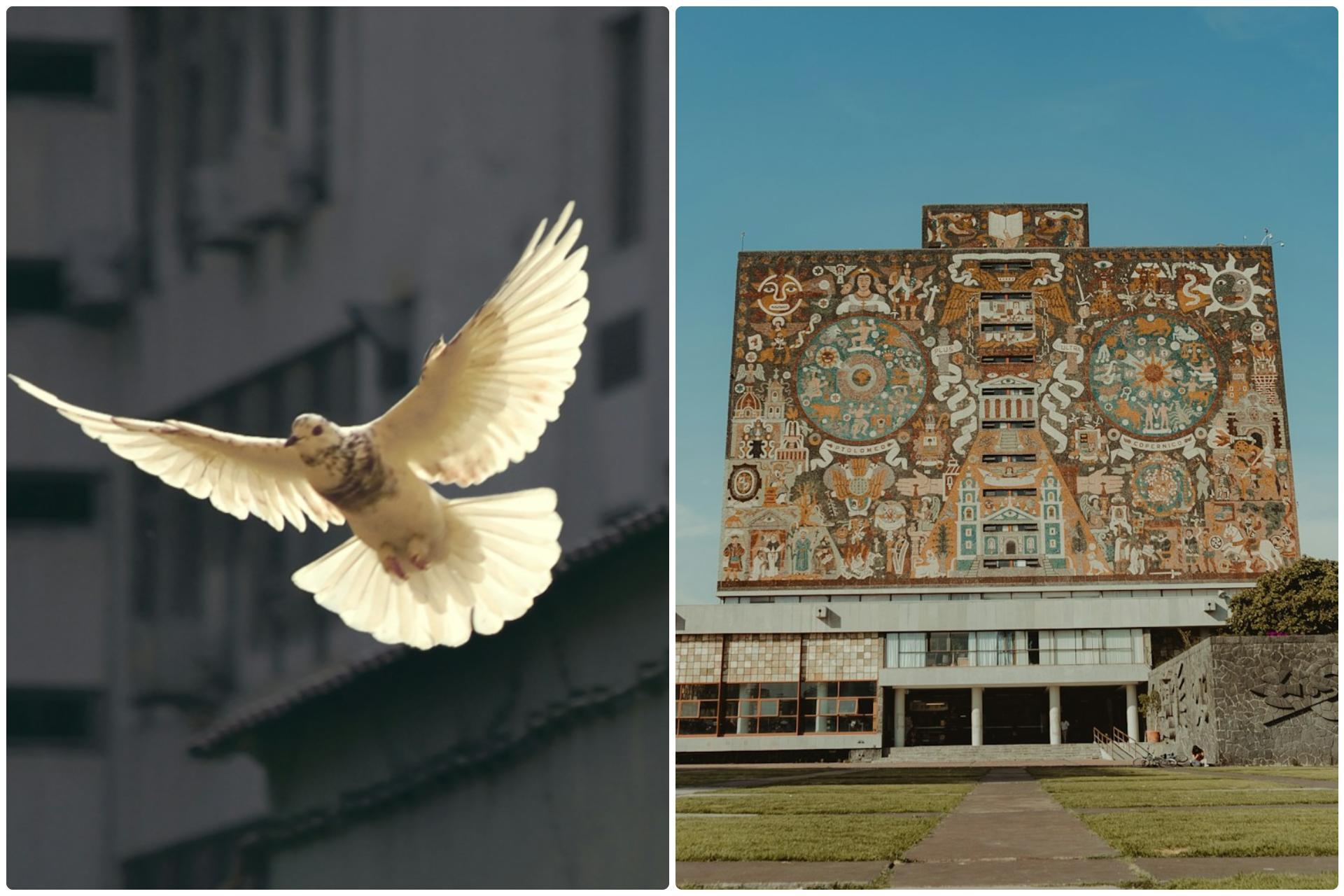 En México es posible construir una cultura de paz: Leonardo Lomelí, rector de la UNAM