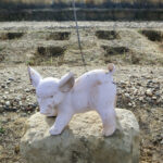 Cómo es y cuánto cuesta un cementerio de mascotas: “Se visitan más que los de personas”
