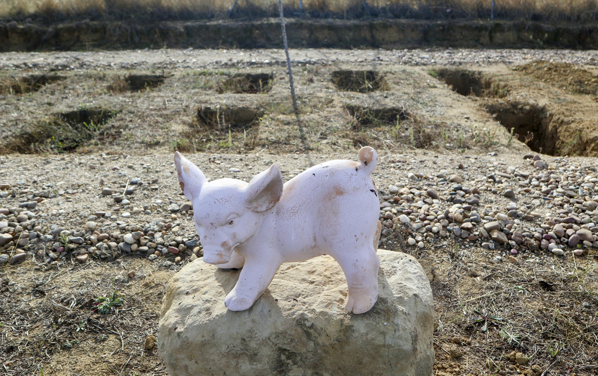 Cómo es y cuánto cuesta un cementerio de mascotas: “Se visitan más que los de personas” Cómo es y cuánto cuesta un cementerio de mascotas: “Se visitan más que los de personas”