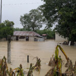 Exentan impuestos a municipios de Veracruz afectados por lluvias