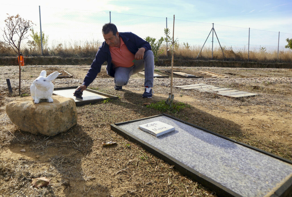 Cómo es y cuánto cuesta un cementerio de mascotas: "Se visitan más que los de personas" - b0753c65f353f9f0728fd97c1ffeae205a4ce4e5w-1024x691
