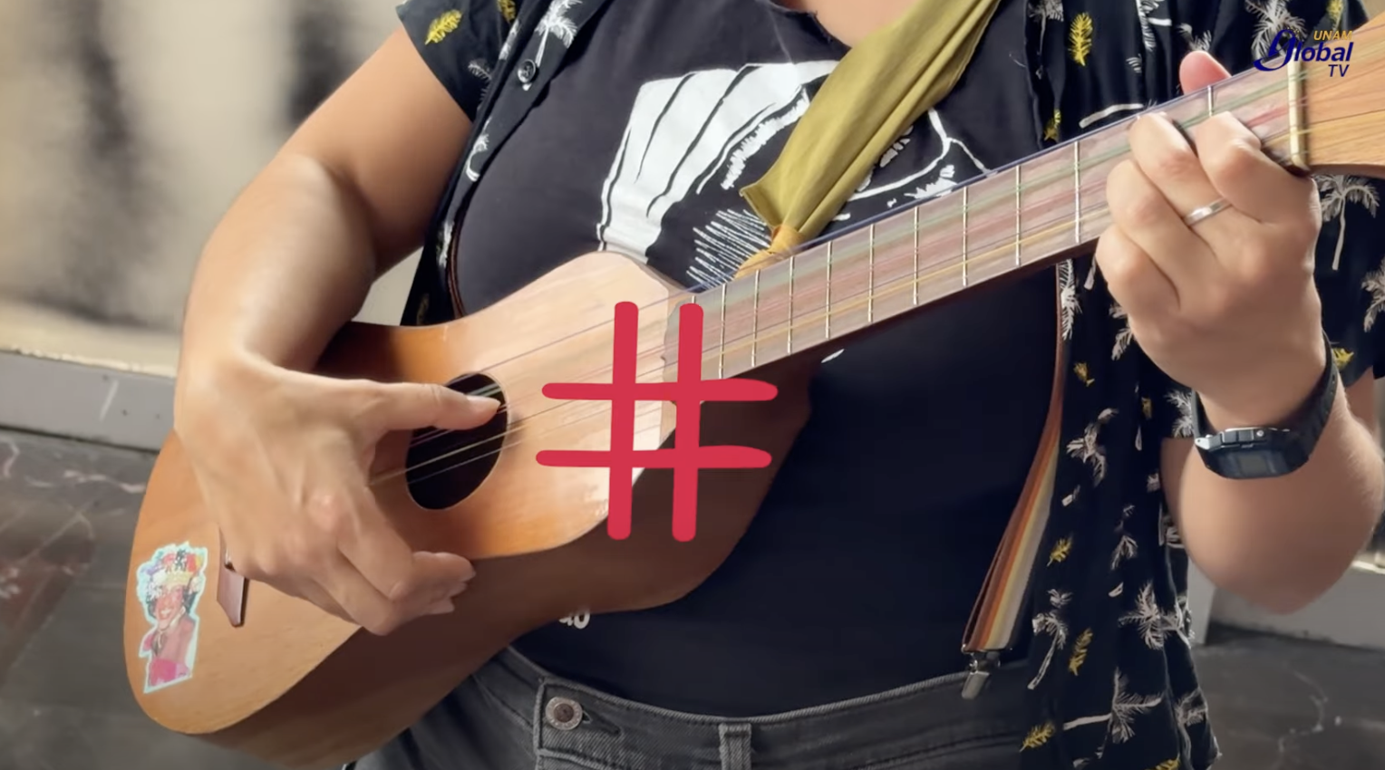 Mujeres que resignifican el son jarocho