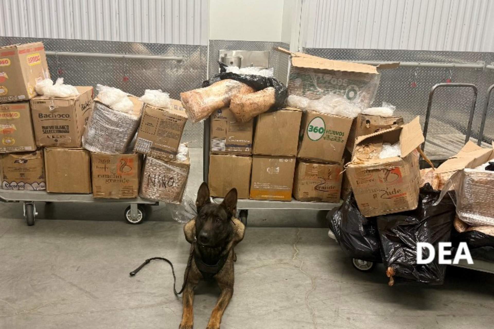 Aseguran en EE.UU. más de 900 kilogramos de metanfetamina vinculada al CJNG Aseguran en EE.UU. más de 900 kilogramos de metanfetamina vinculada al CJNG