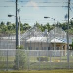 Muere Hasan Ali Moh’D Saleh, migrante jordano, bajo custodia de ICE en Florida