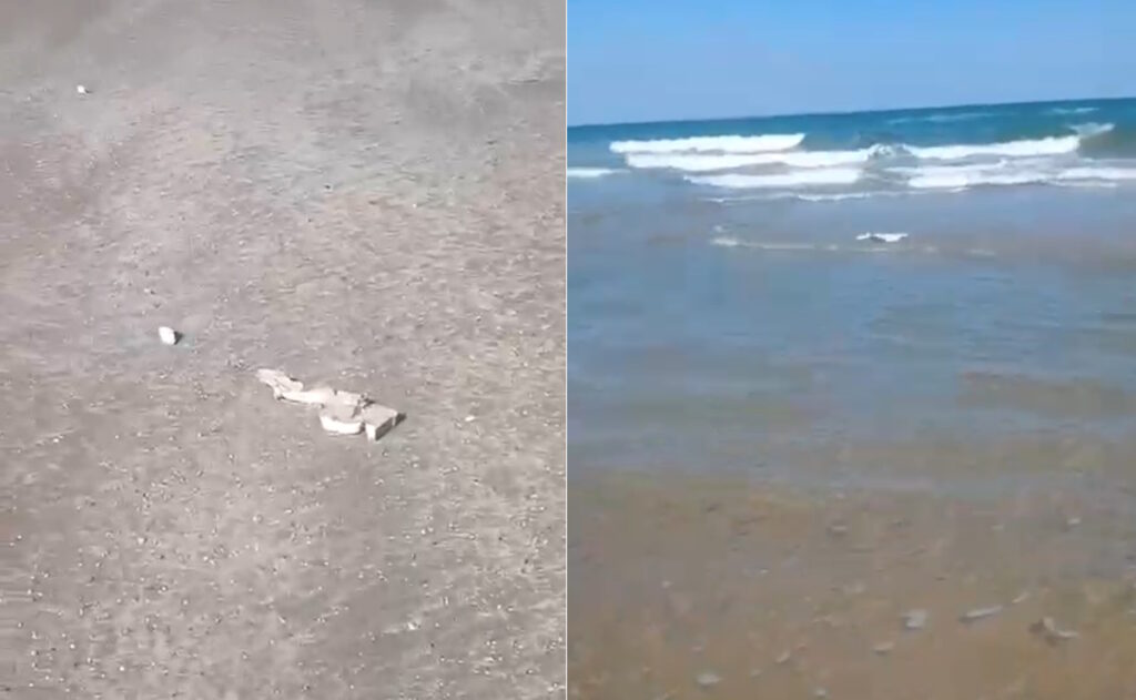 Hallan presunta basura espacial y delfines muertos en playa Bagdad, Tamaulipas
