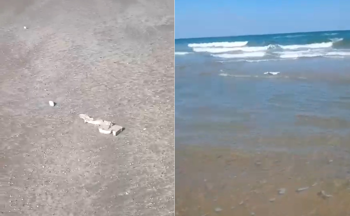 Hallan presunta basura espacial y delfines muertos en playa Bagdad, Tamaulipas