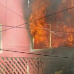 Perrito muere en incendio originado por altar de muertos