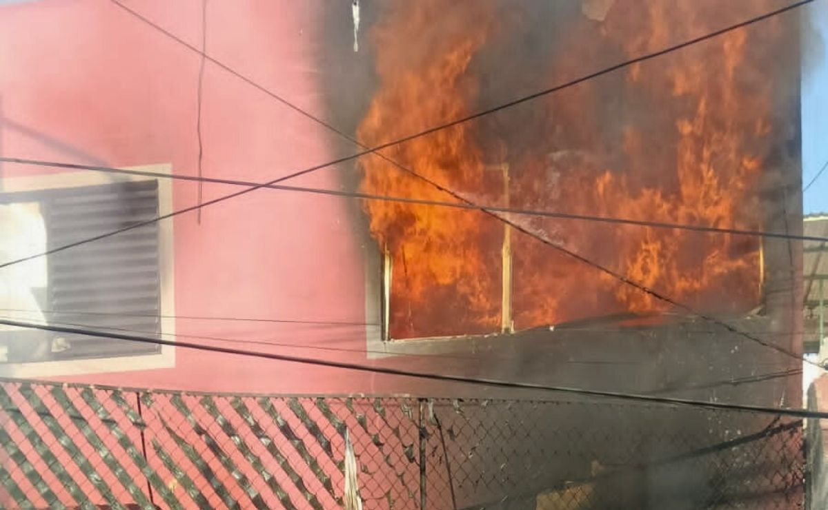 Perrito muere en incendio originado por altar de muertos