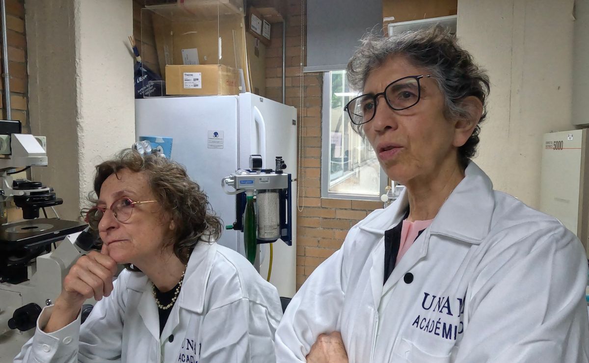 UNAM desarrolla molécula para tratar cáncer de mama agresivo