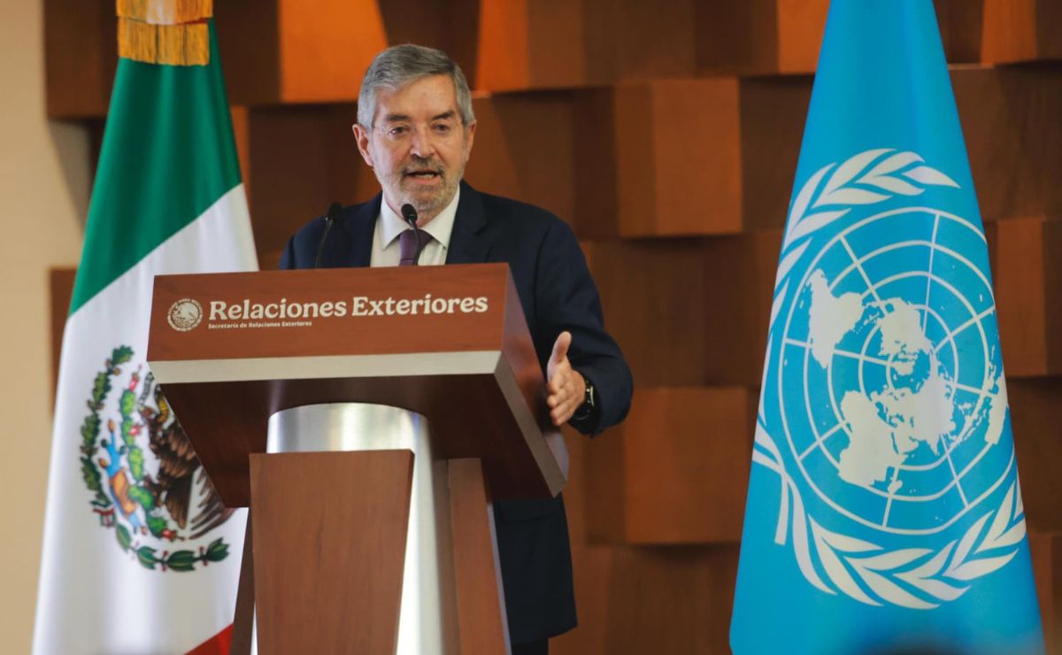 Canciller De la Fuente afirma que la ONU requiere una reforma con urgencia Canciller De la Fuente afirma que la ONU requiere una reforma con urgencia