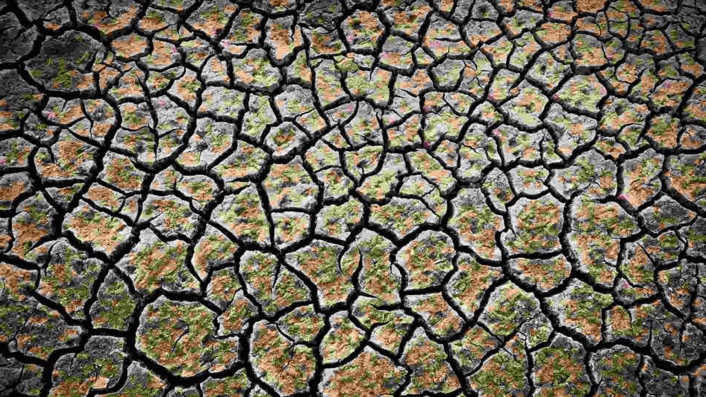 La inacción en el cambio climático deja un “panorama sombrío”: millones de muertes al año