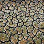 La inacción en el cambio climático deja un “panorama sombrío”: millones de muertes al año