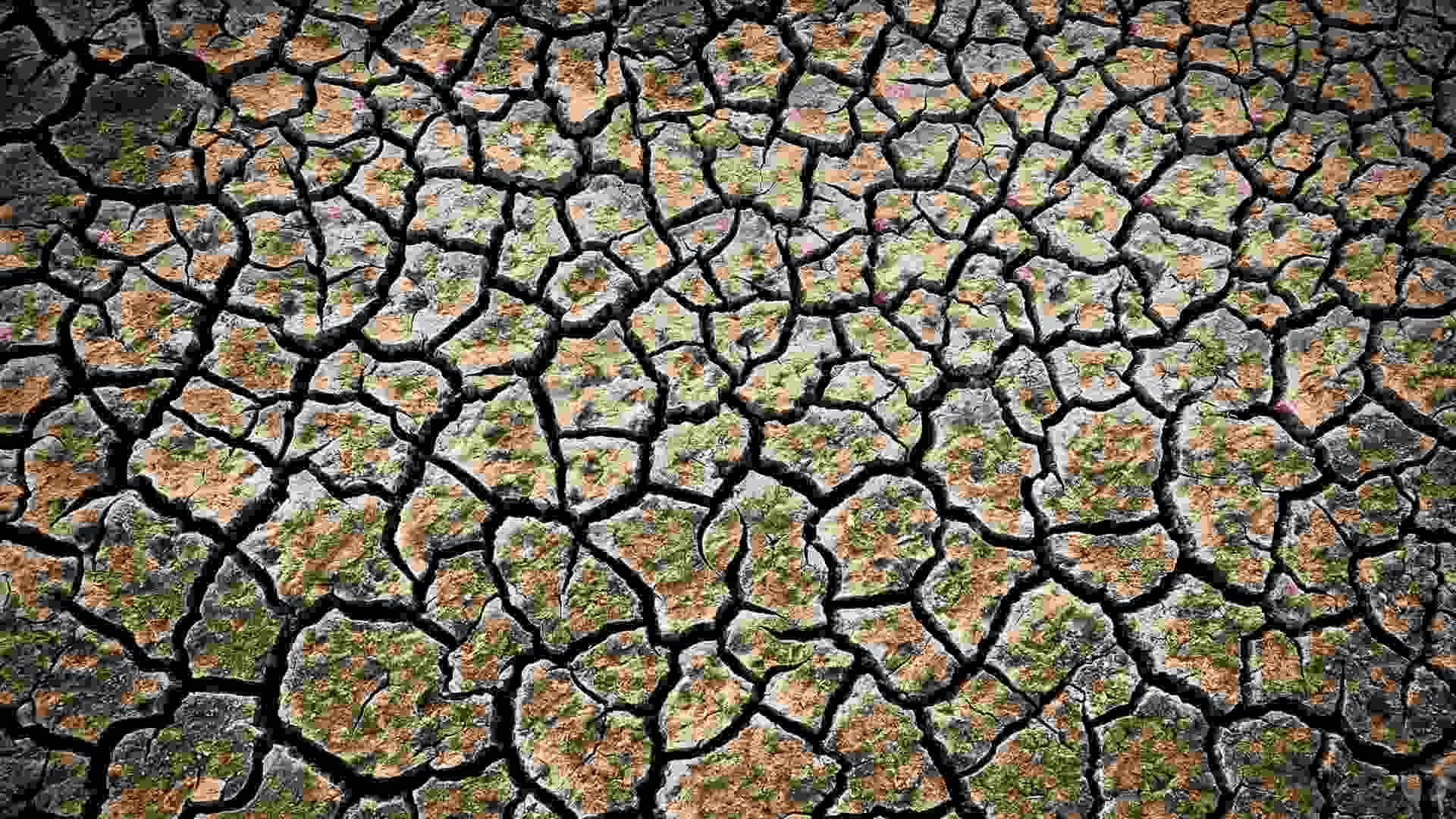 La inacción en el cambio climático deja un “panorama sombrío”: millones de muertes al año