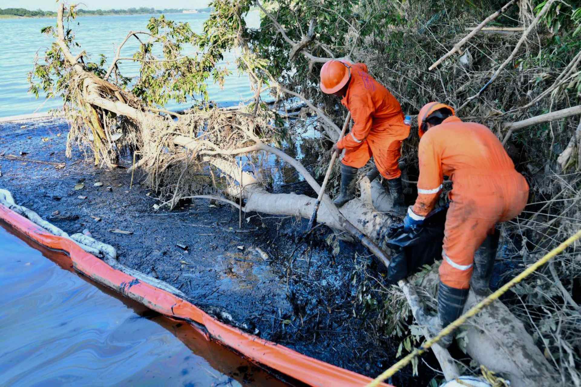 Videos: Así se ve el derrame de hidrocarburo en el río Tuxpan, Veracruz; suman 345 mil litros recuperados Videos: Así se ve el derrame de hidrocarburo en el río Tuxpan, Veracruz; suman 345 mil litros recuperados