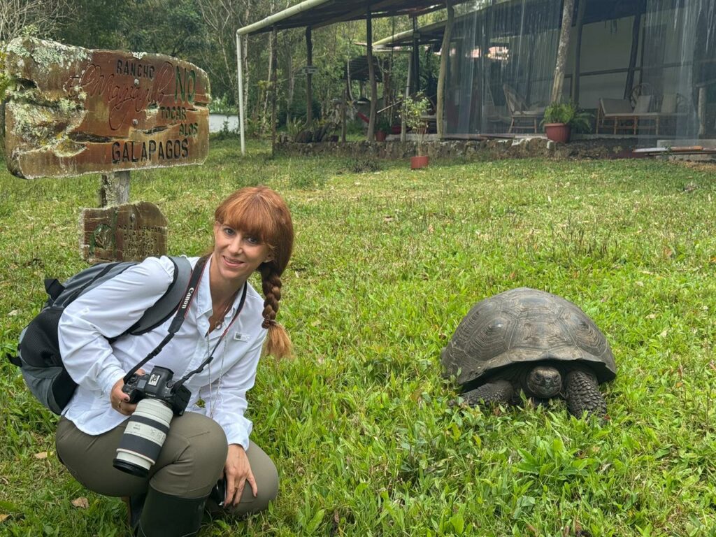 Las tortugas de Galápagos, en peligro de extinción - whatsapp-image-2025-10-29-at-15251-pm-2-1024x768