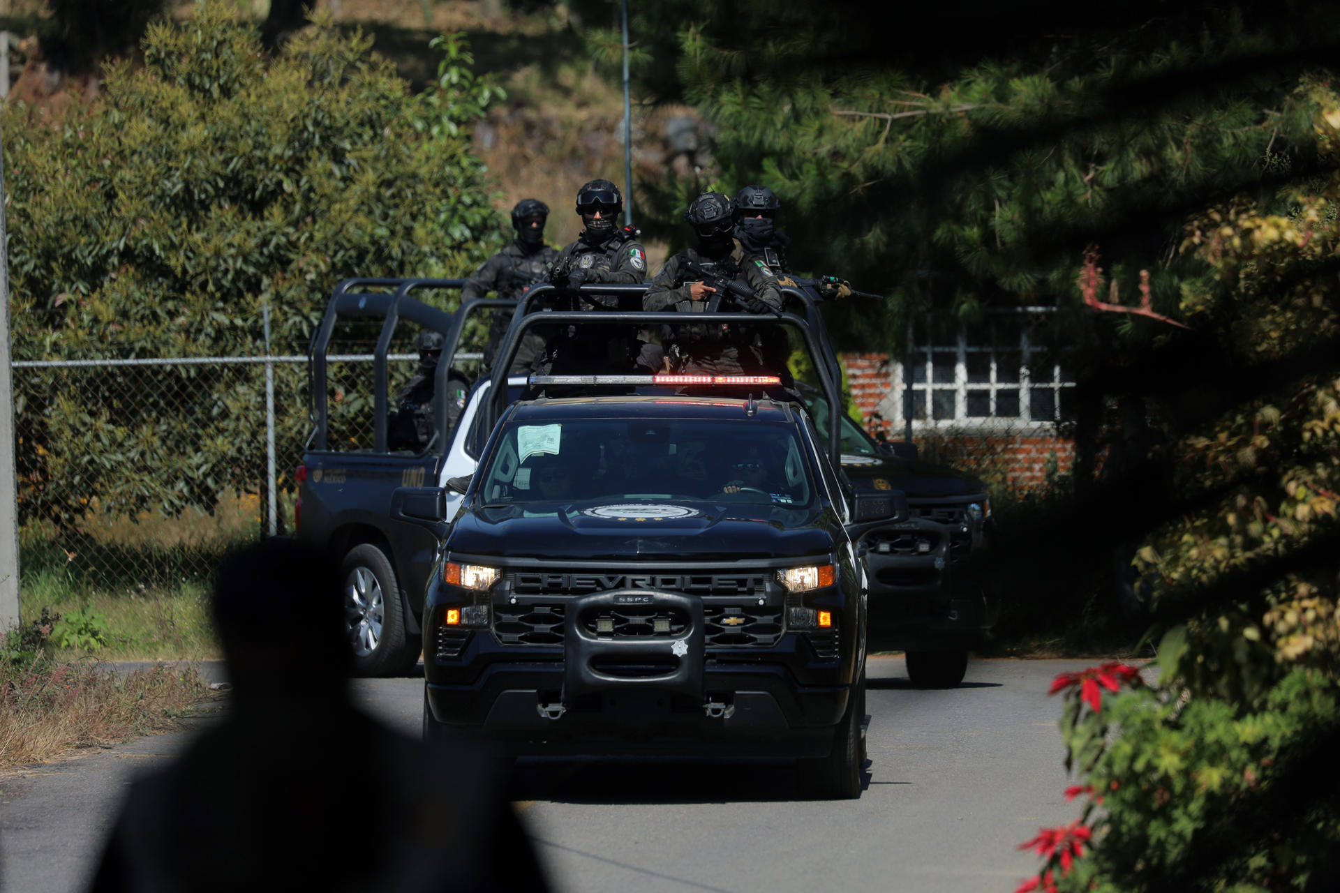 Fuerzas de seguridad detienen a siete personas en el estado de Michoacán