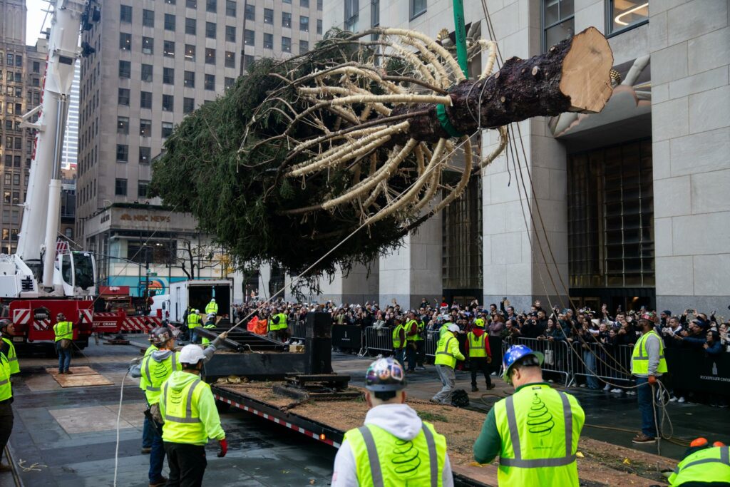 Llega al Rockefeller Center su famoso árbol de Navidad