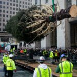 Llega al Rockefeller Center su famoso árbol de Navidad