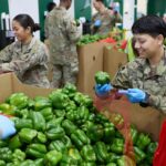 Gobierno de EE.UU. podría reactivar subsidios para alimentos esta semana