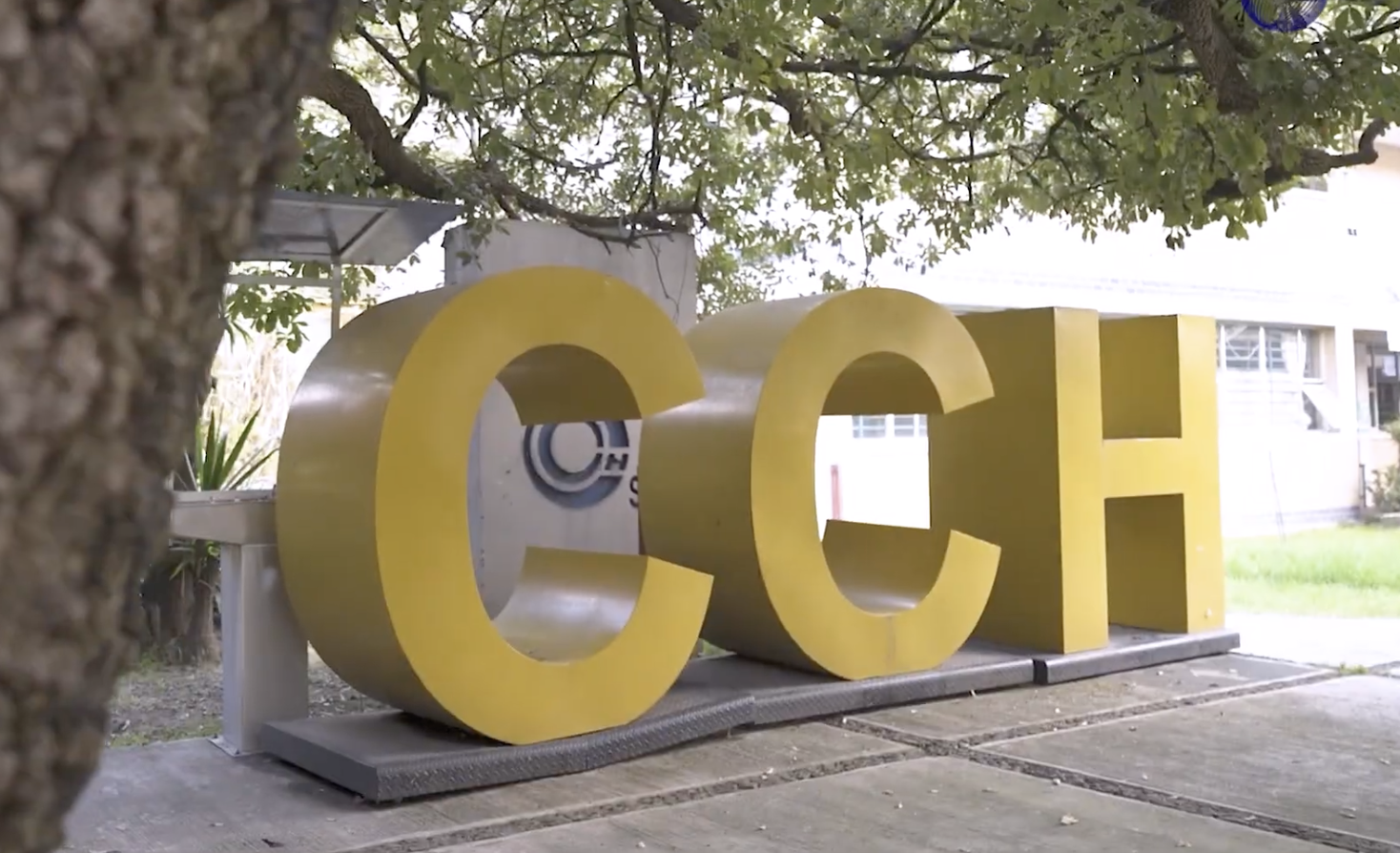 CCH-Sur reabre sus puertas a estudiantes para recorridos conjuntos de observación de avances CCH-Sur reabre sus puertas a estudiantes para recorridos conjuntos de observación de avances