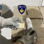 Golpe al CJNG en España: 20 detenidos y desmantelan “oficina” de la organización criminal