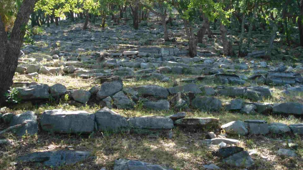 Expertos revelan práctica de deformación craneal inédita en norte de Tamaulipas - expertos-revelan-practica-de-deformacion-craneal-inedita-en-norte-de-tamaulipas-1-1024x576