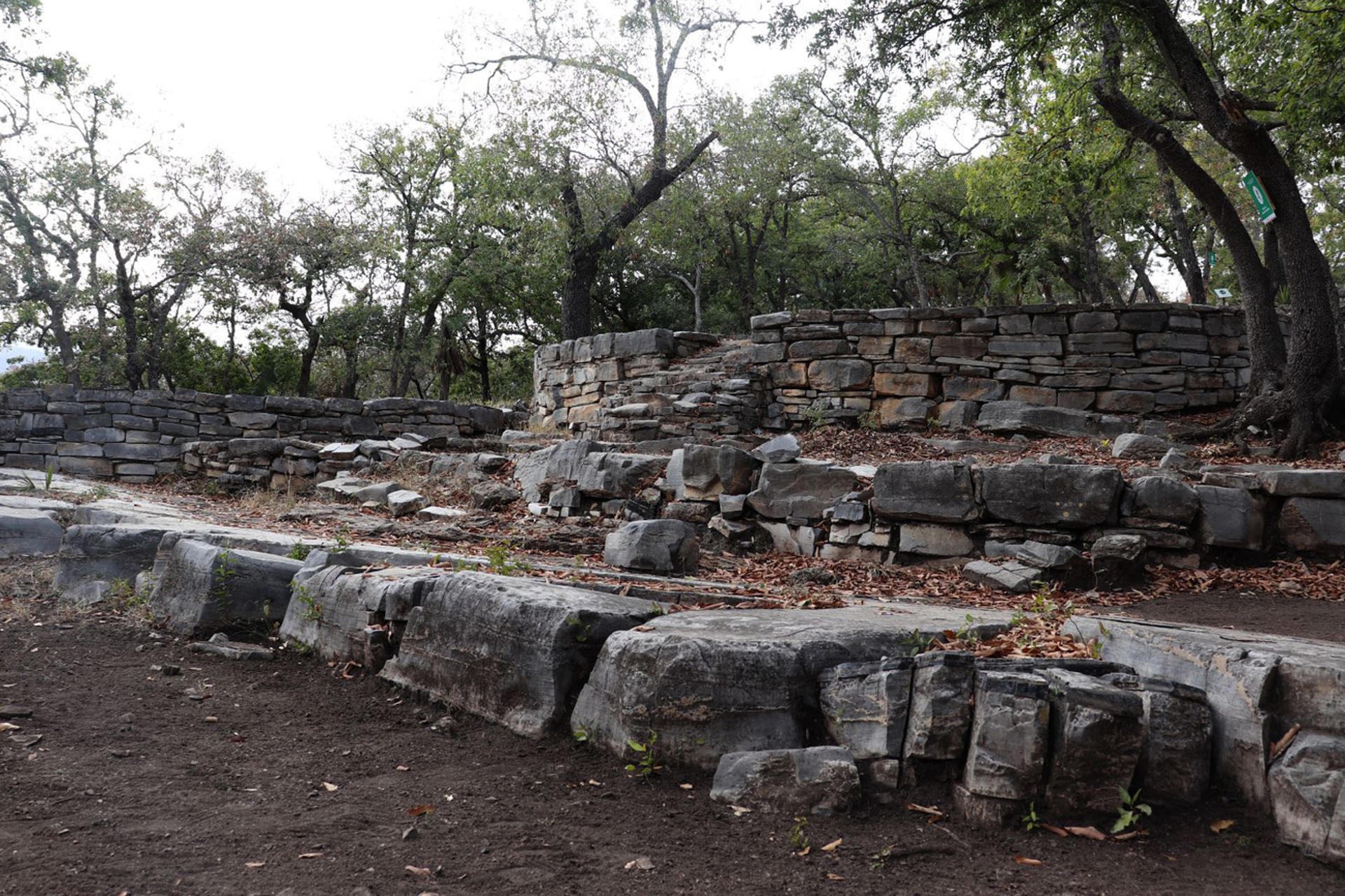 Expertos revelan práctica de deformación craneal inédita en norte de Tamaulipas