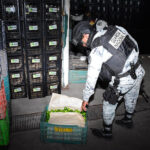 Guardia Nacional fortalece la seguridad en Apatzingán como parte del Plan Michoacán - guardia-nacional-operativo-michoacan-11-12-noviembre-2025-3-150x150