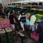 Guardia Nacional fortalece la seguridad en Apatzingán como parte del Plan Michoacán - guardia-nacional-operativo-michoacan-11-12-noviembre-2025-6-150x150