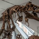 ‘Impact’, la muestra que recrea en Nueva York el meteorito que acabó con los dinosaurios