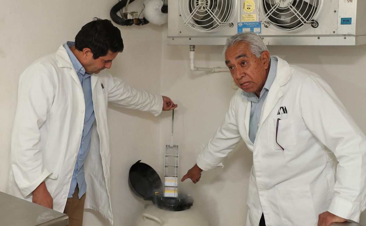 México inicia nueva era de biotecnología animal tras su primer borrego clonado - investigador-boris-ramos-serrano-y-el-doctor-jose-ernesto-hernandez-pichardo